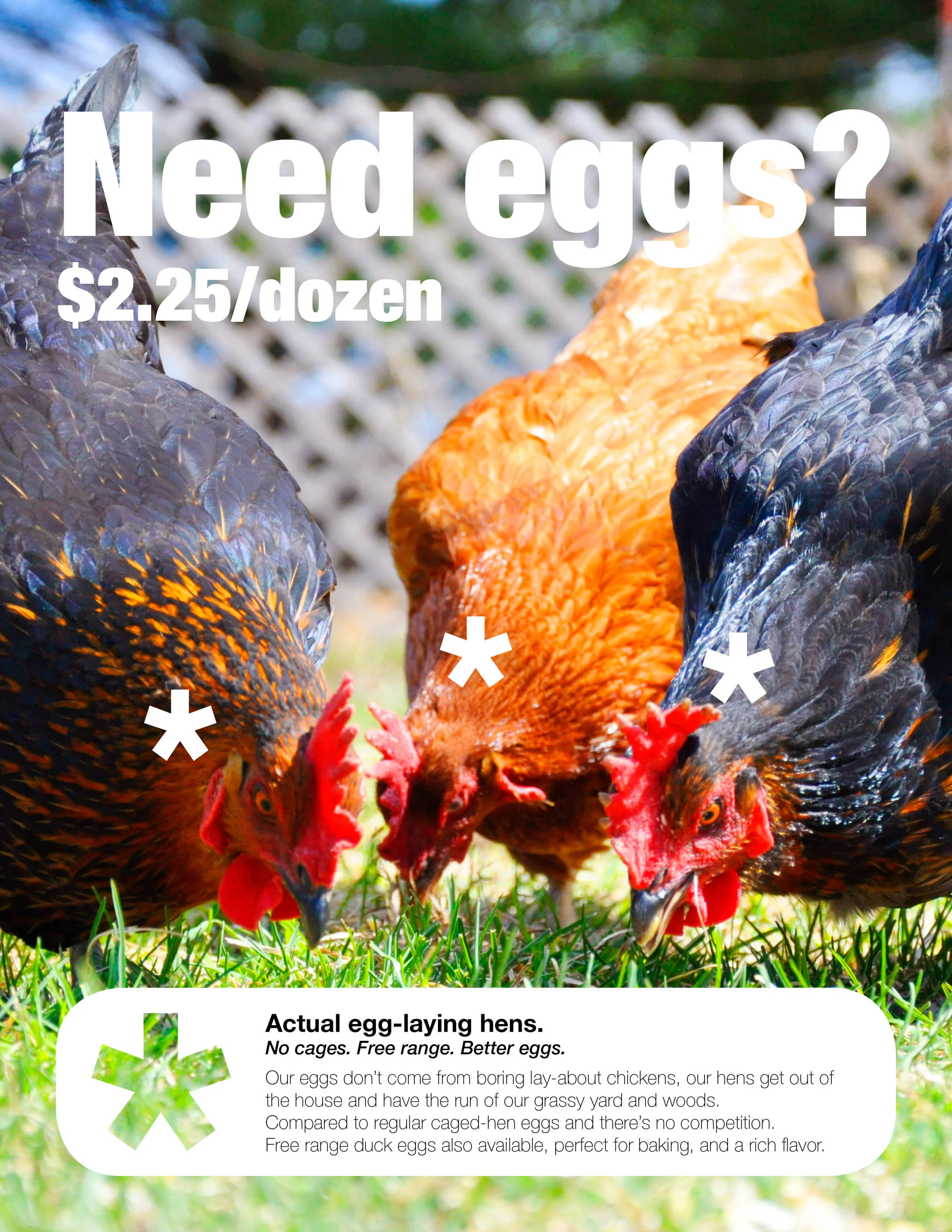 chicken eggs ad 7.17.jpg