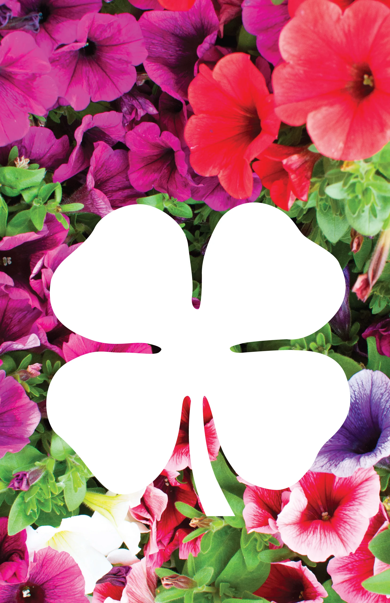 HoT FlowerSales print-7.jpg