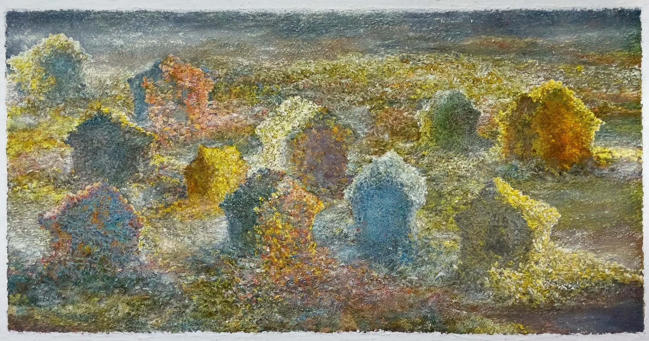 Rice landscape