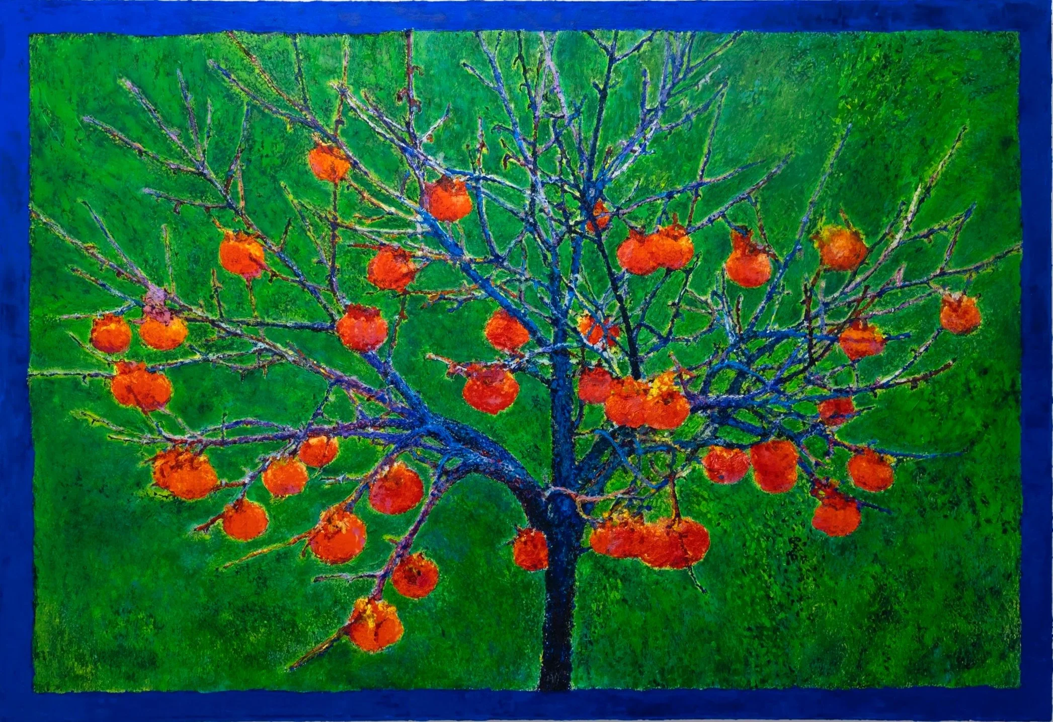 Persimmon Tree