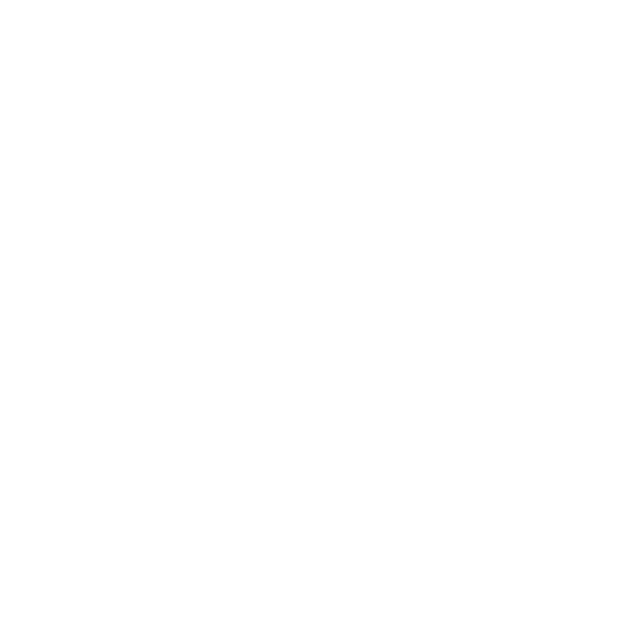 Santa Rosa Charter School for the Arts