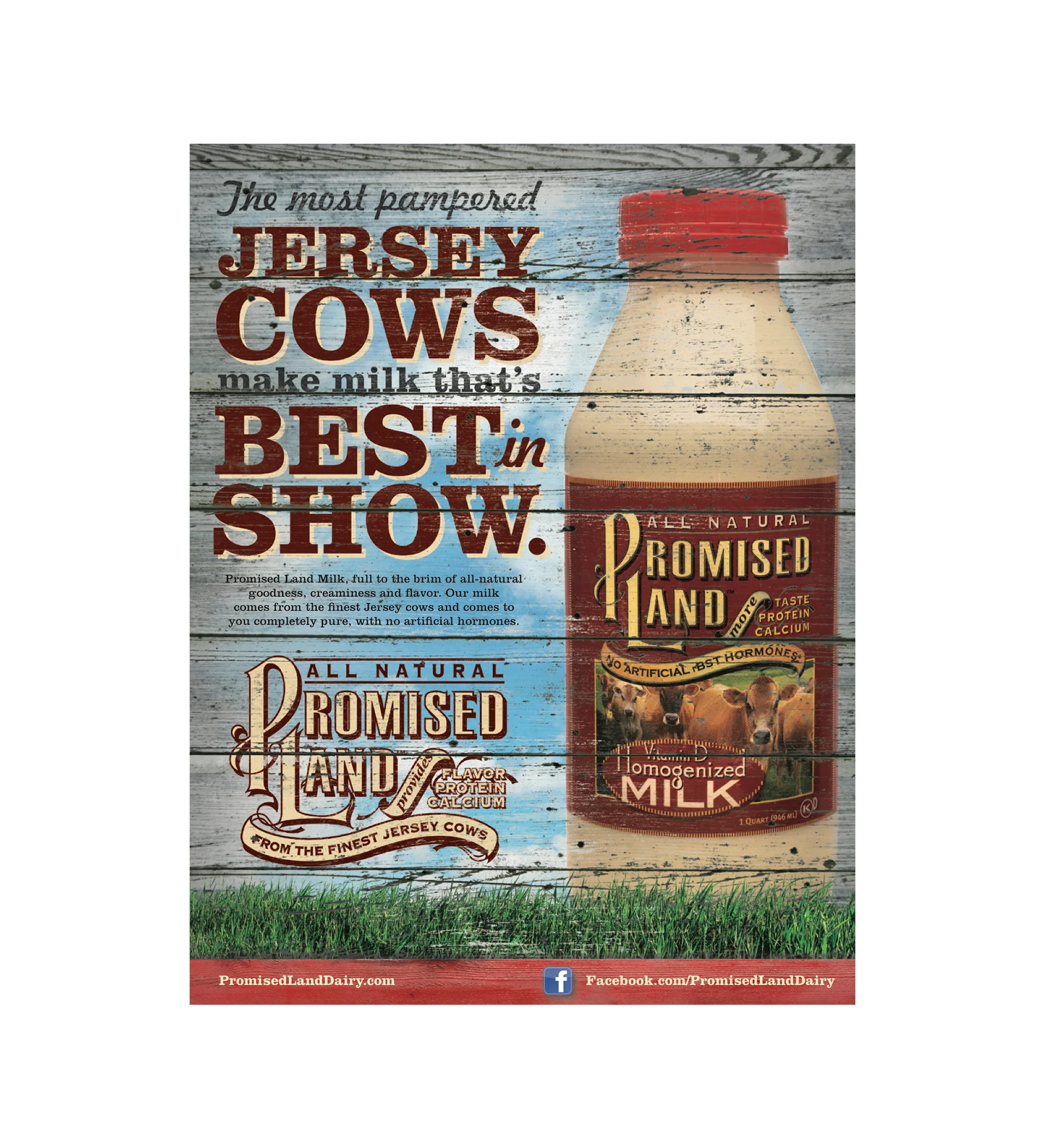 bestinshow.jpg