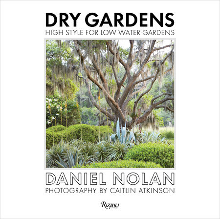 Dry Gardens by Daniel Nolan