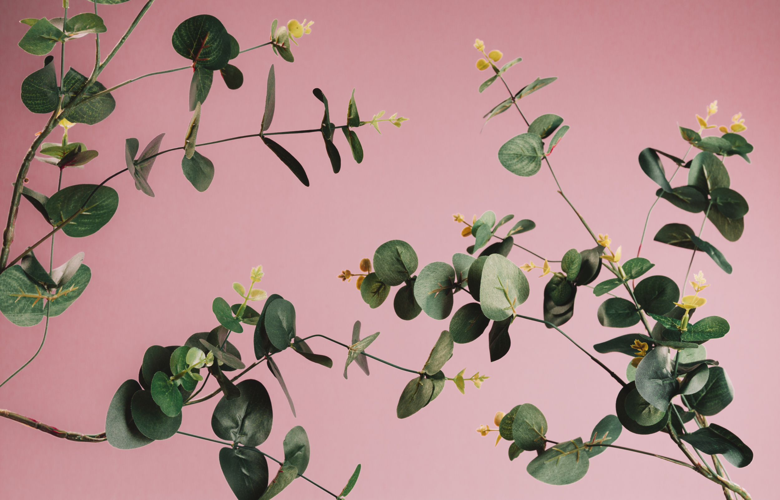 springcollection-coverphoto2.jpg