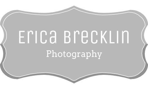 Erica Brecklin Photography 