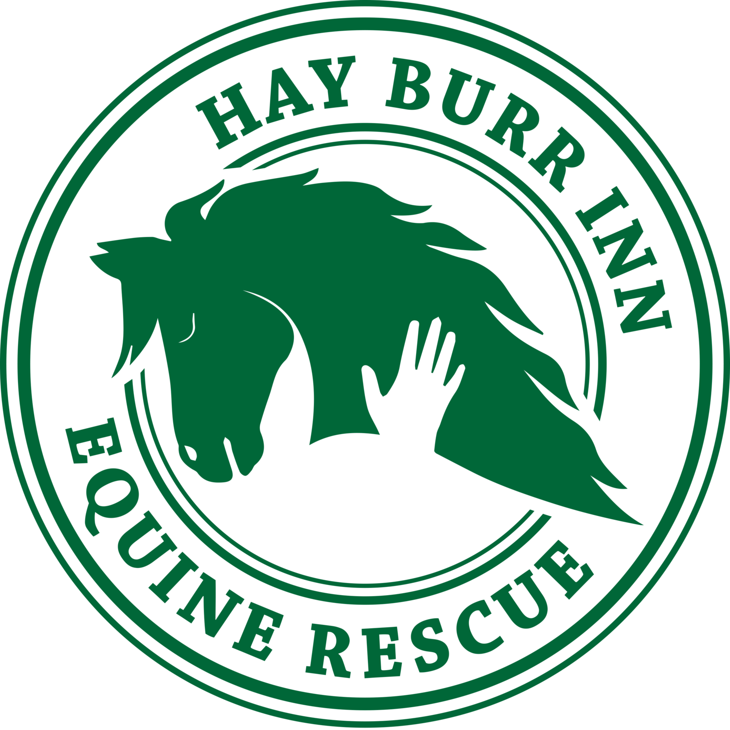 Hay Burr Inn Equine Rescue & Sanctuary