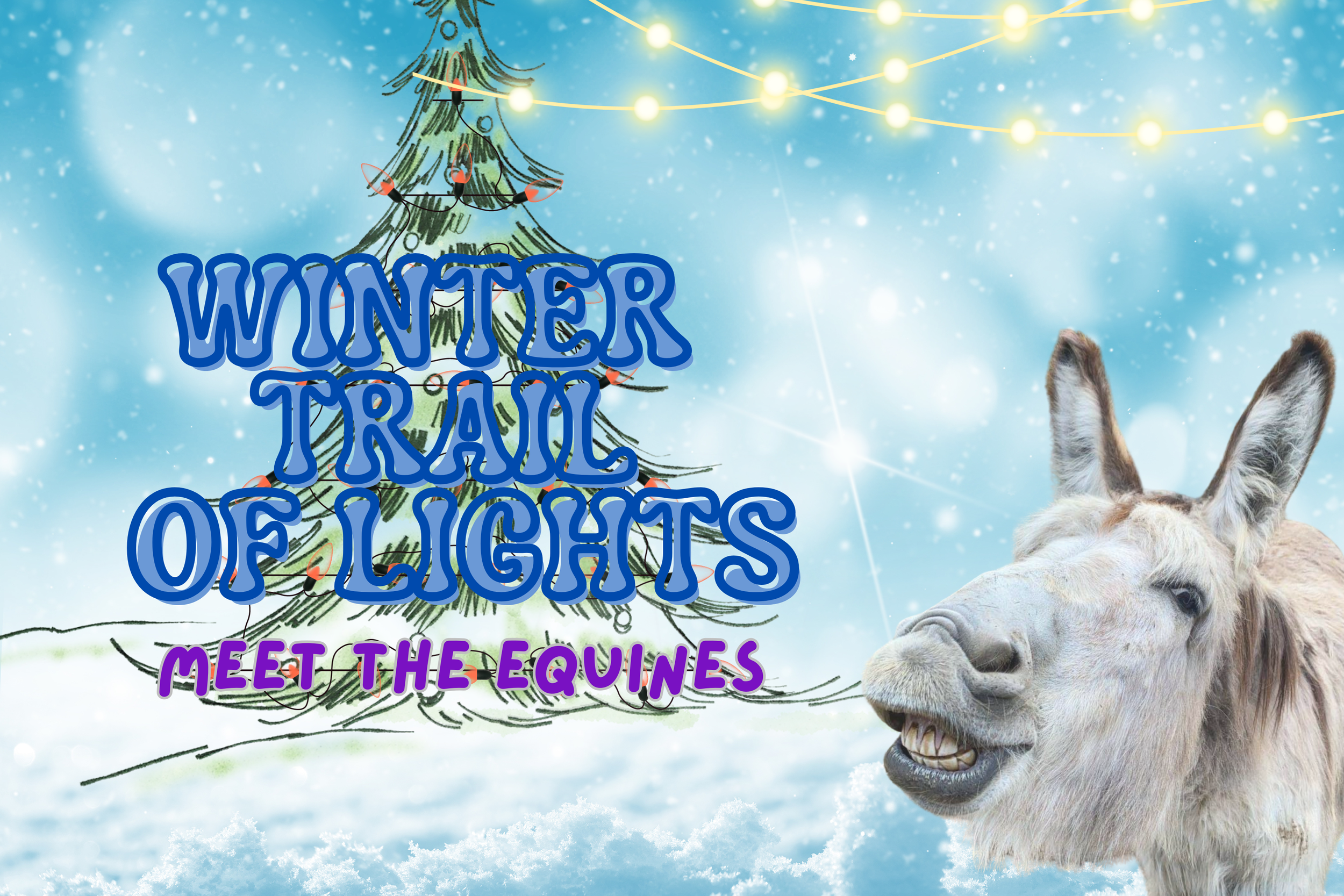 Winter Trail of Lights 