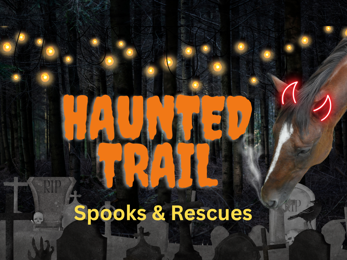Haunted Trail of Spooks &amp; Rescues - 3 Nights Only