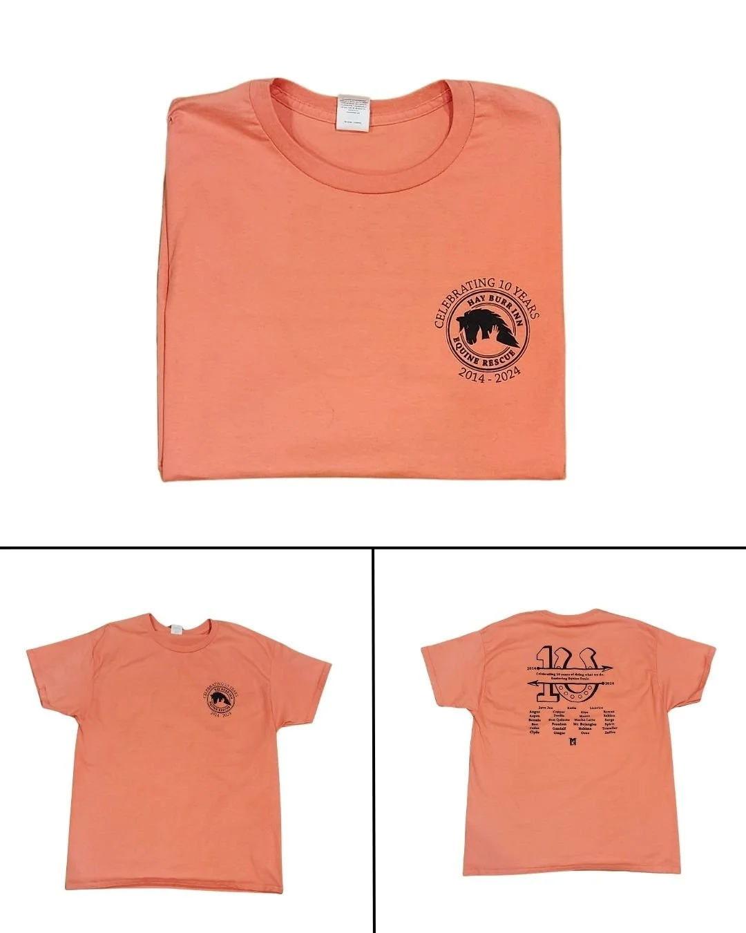 Pink Unisex 10 Year.jpg