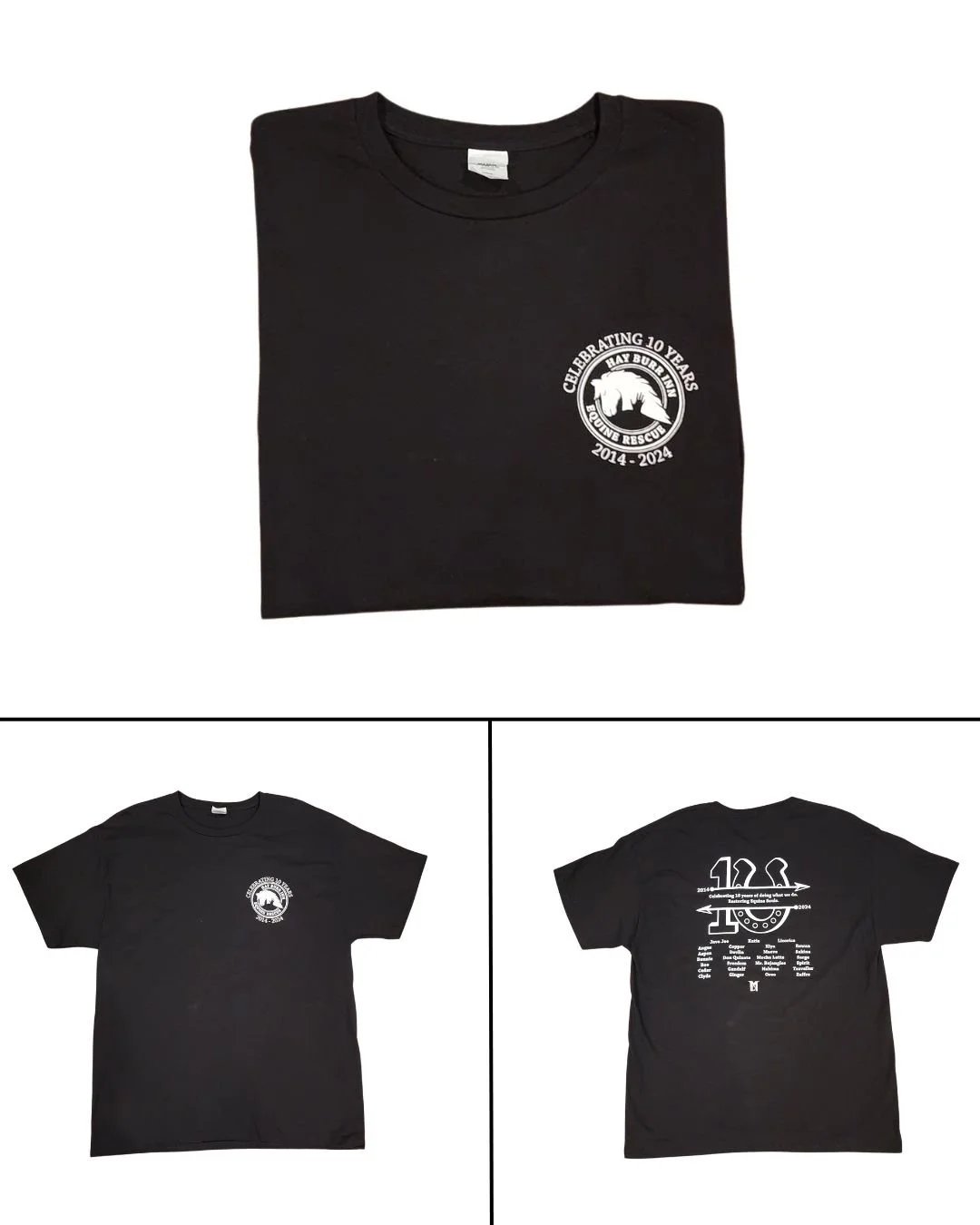 Short Sleeve  - 10 Year.jpg