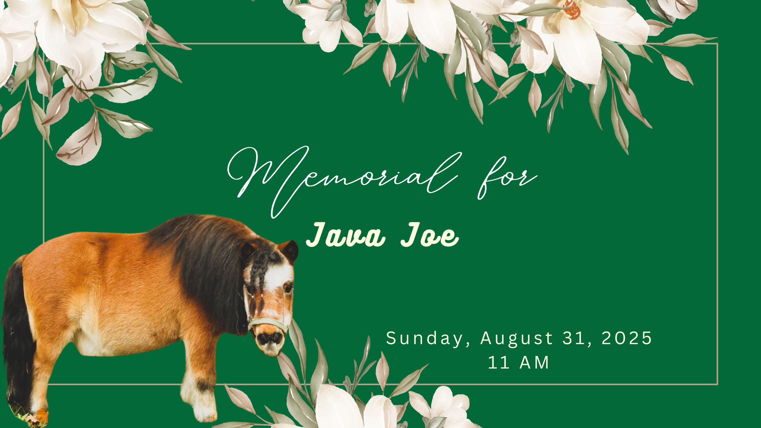 Java Joe Day Sign Remembering Java Joe - Memorial — Hay Burr Inn Equine Rescue & Sanctuary