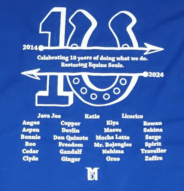 Royal blue 10 year back.png