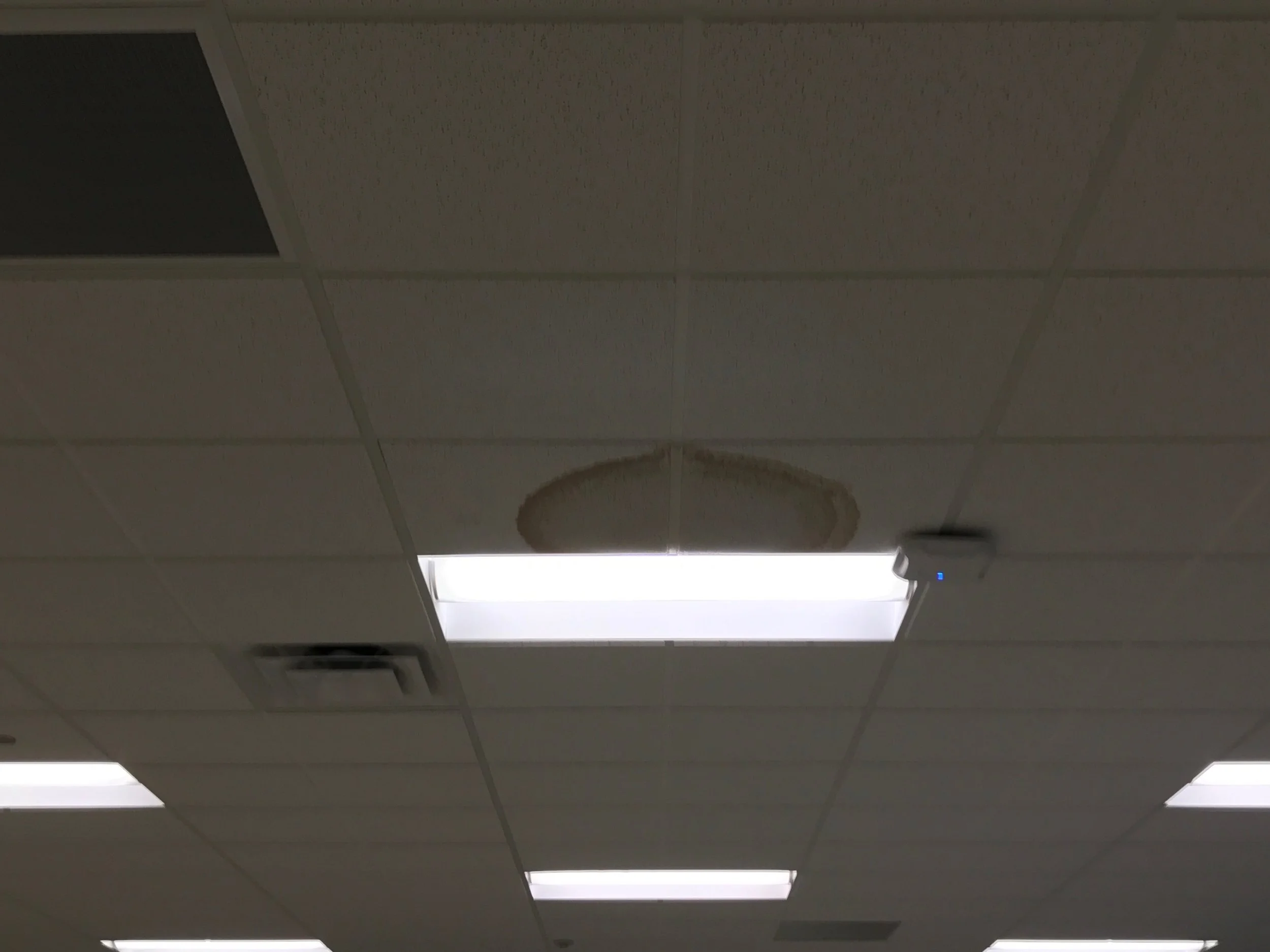 Office_CeilingTiles2.JPG