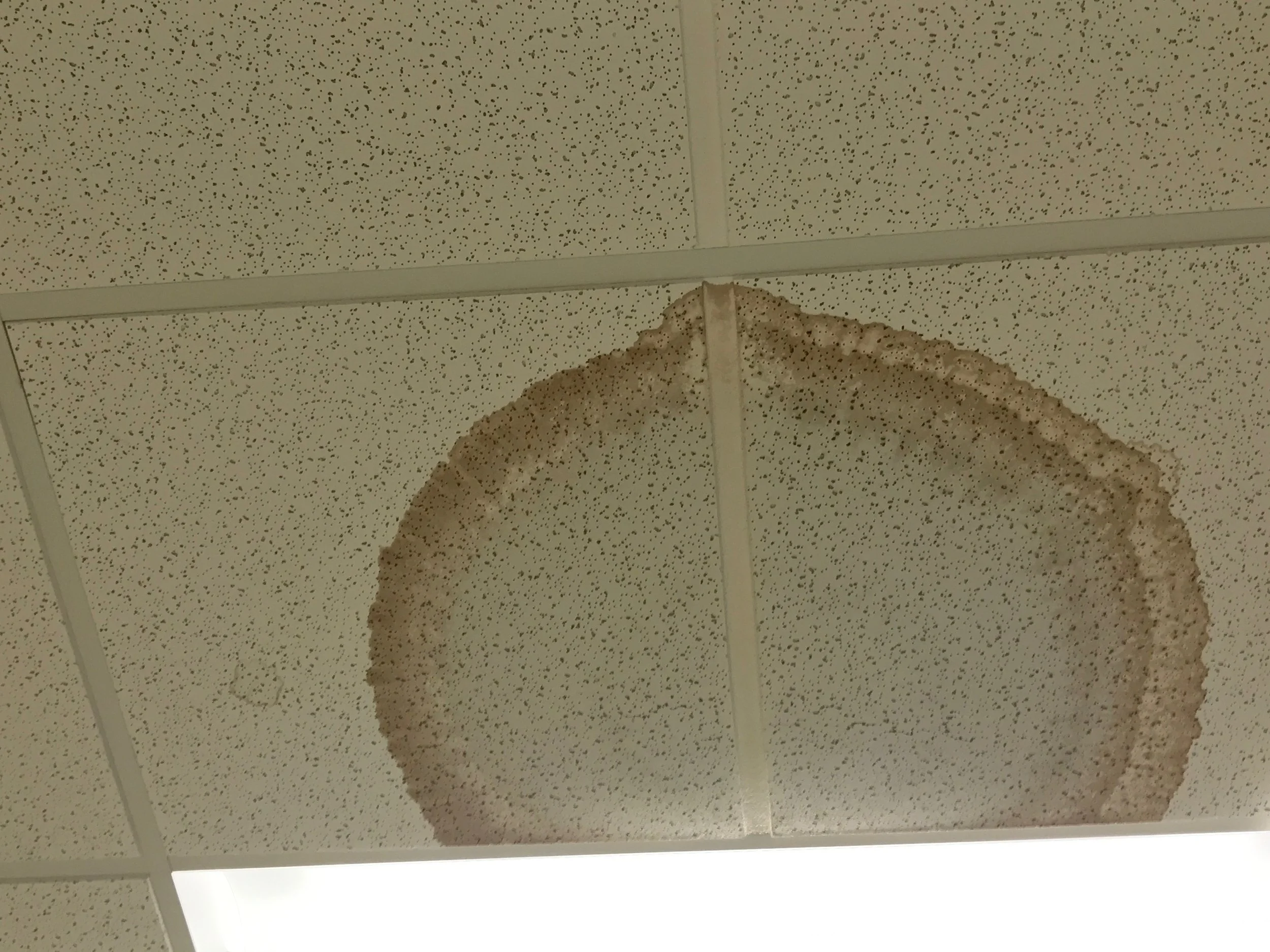  Ceiling tiles replacement 