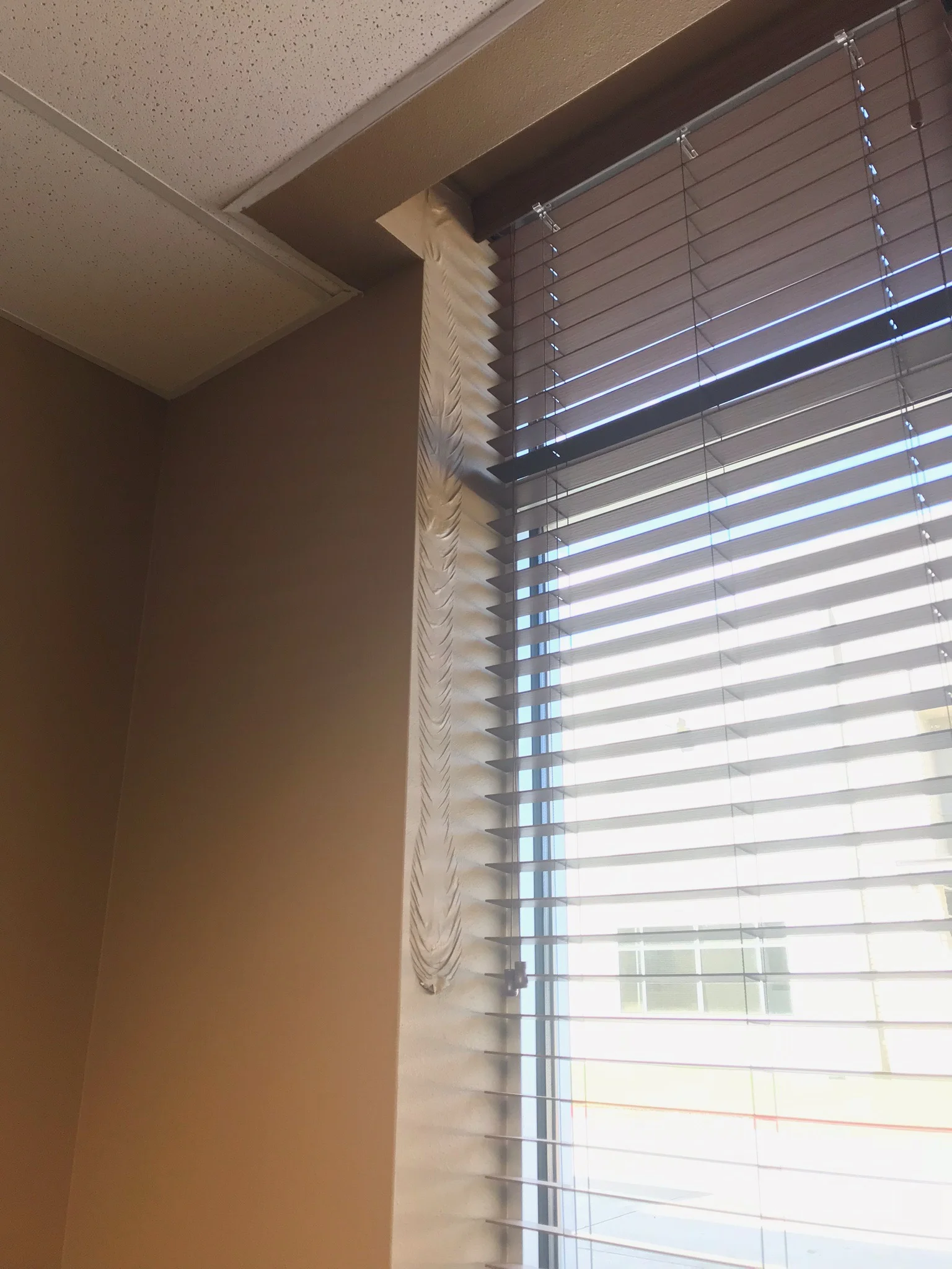 Roof Leak Damage Repair.jpg