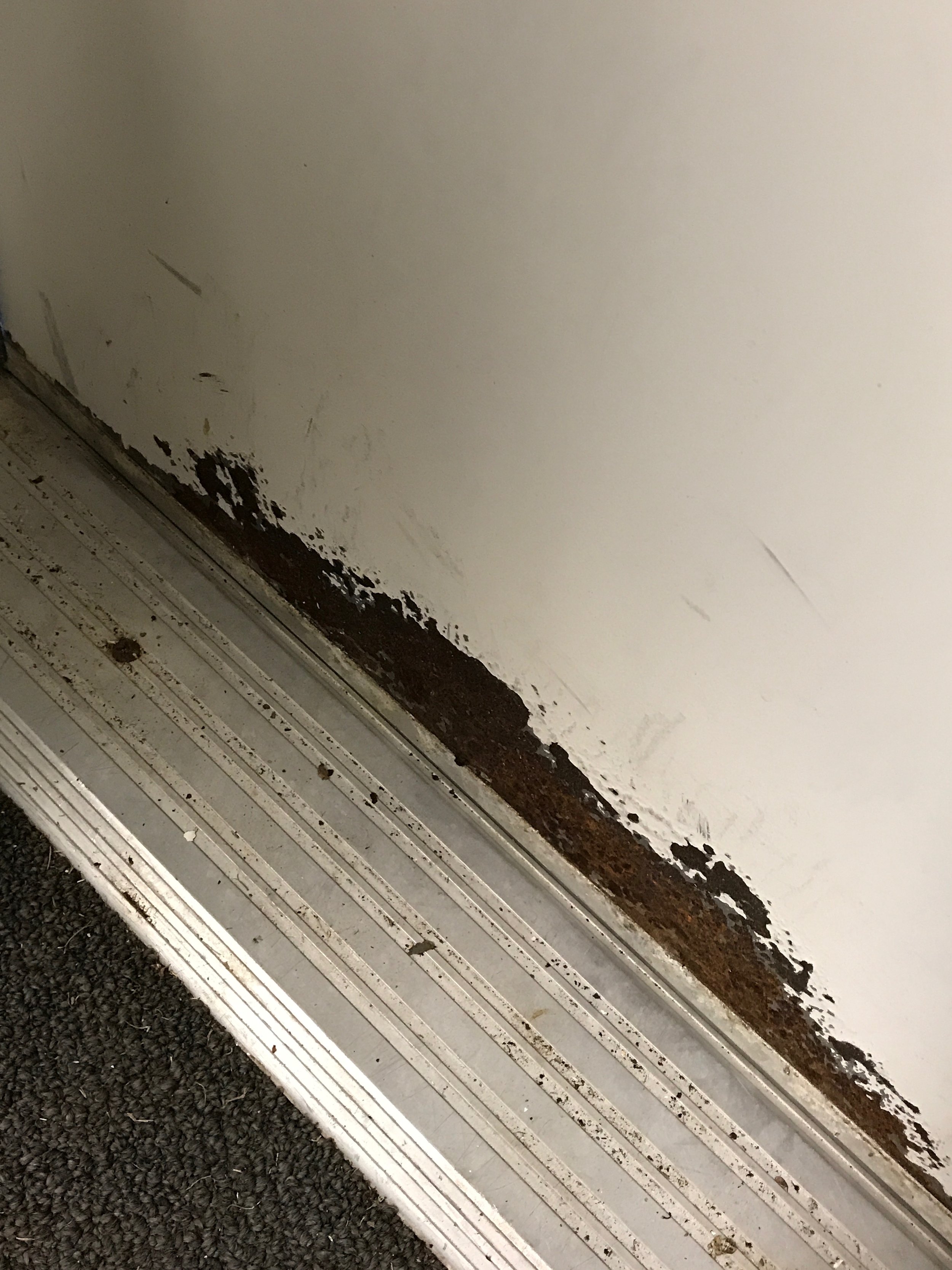 Personnel Repaint2.jpg