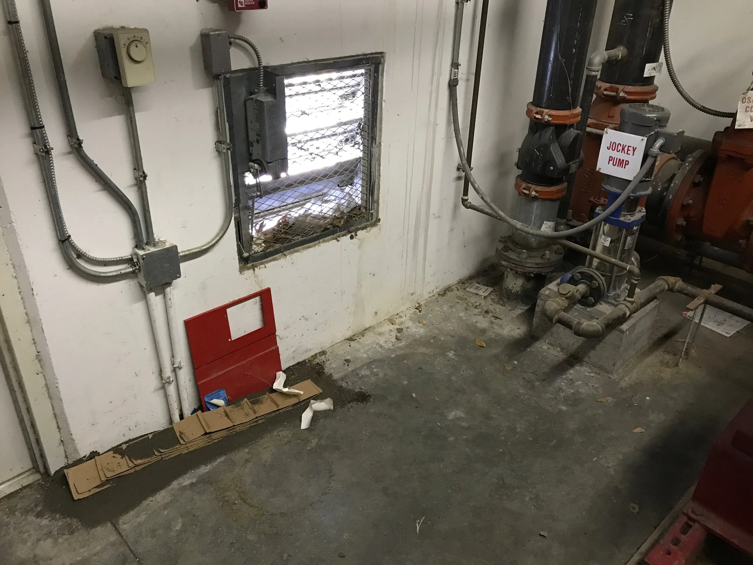 Riser Room Cleaning3.jpg