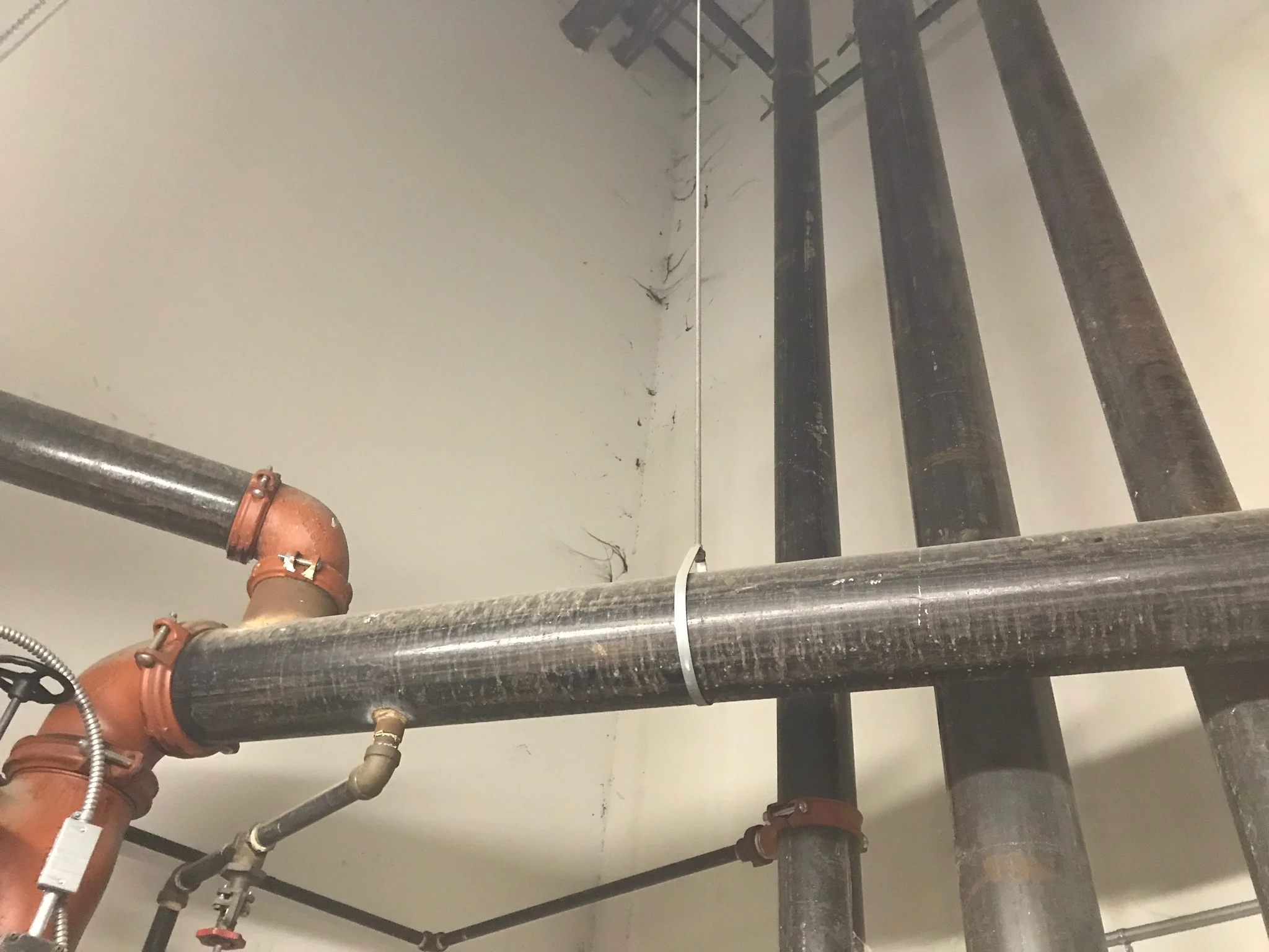 Riser Room Cleaning6.jpg