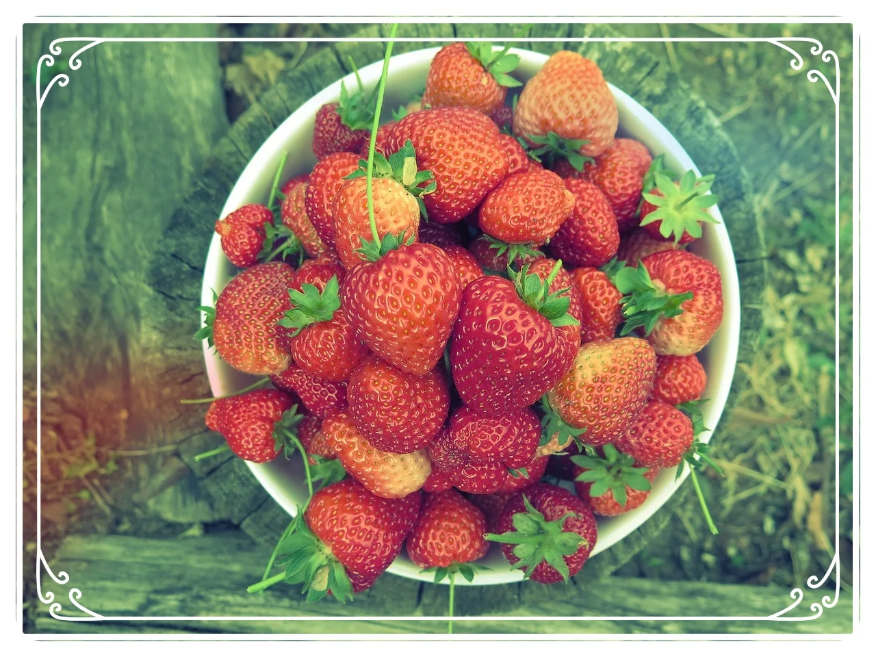 fruit-3247495_1280.jpg