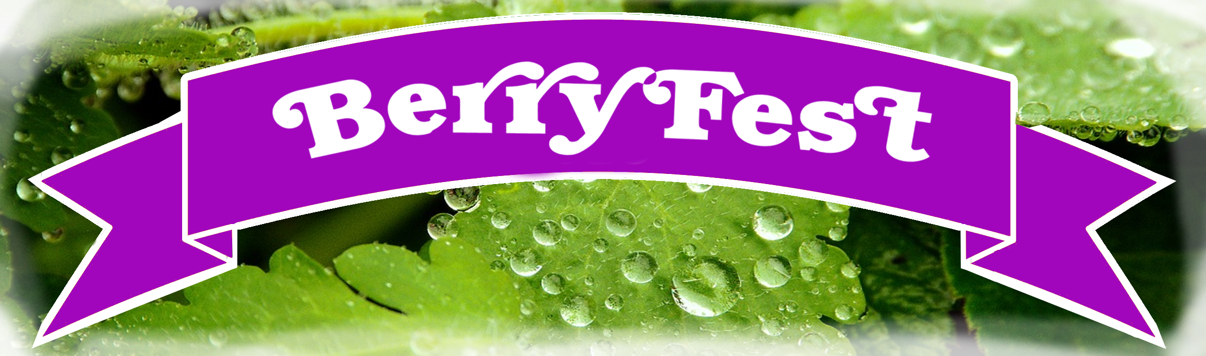 Murray Farm Fest BerryFest ribbon oN gREEN.png