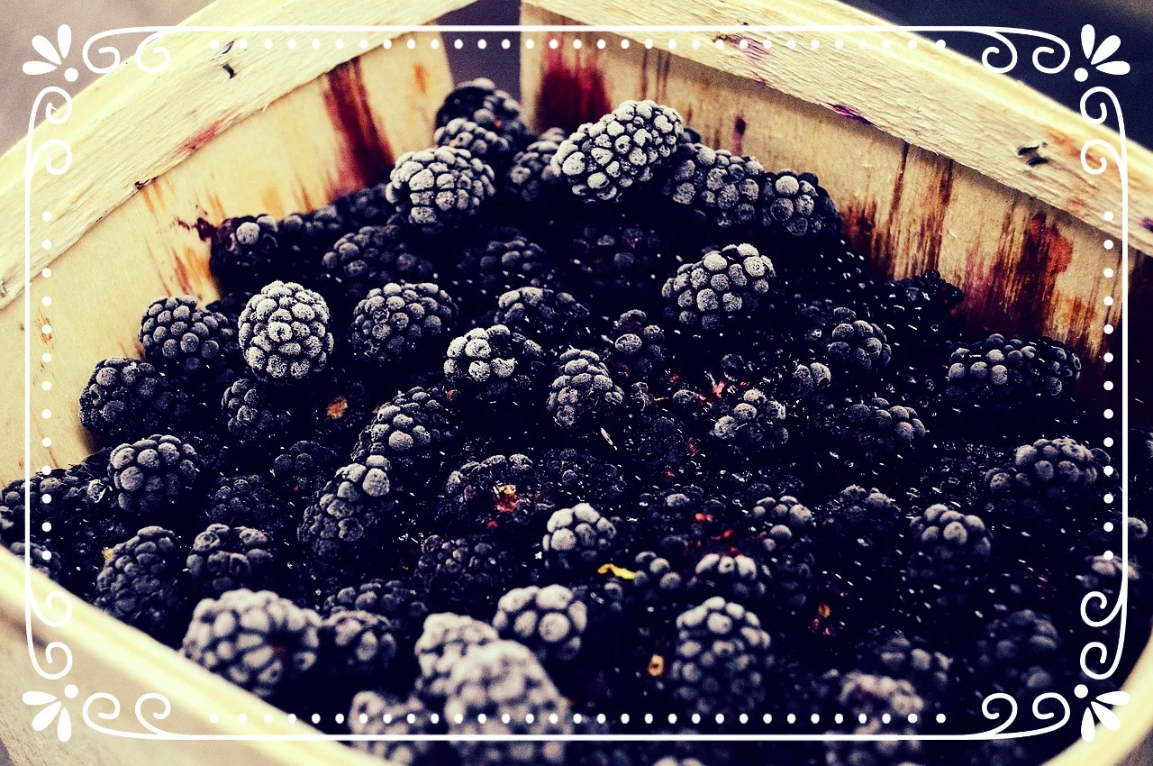 berry-1867078_1280.jpg