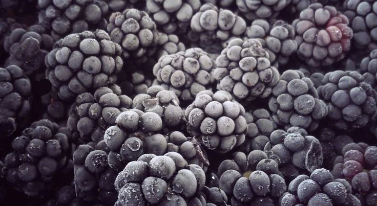 blackberries_frozen.jpg