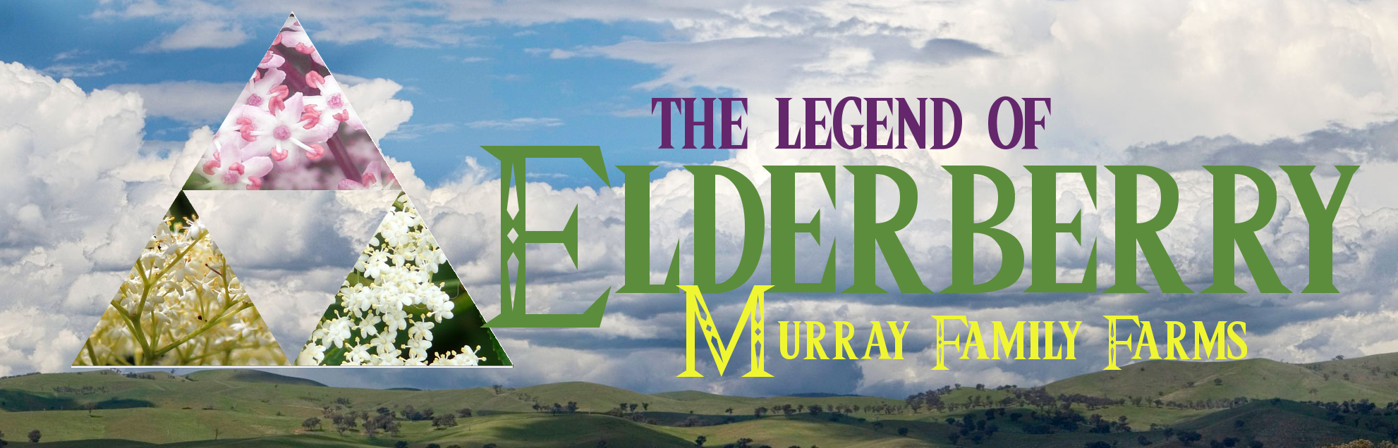 ElderBerryLegend.png