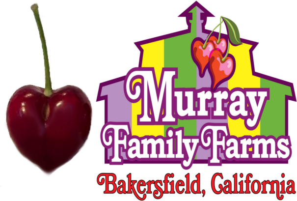 CherryLogoComparison.png