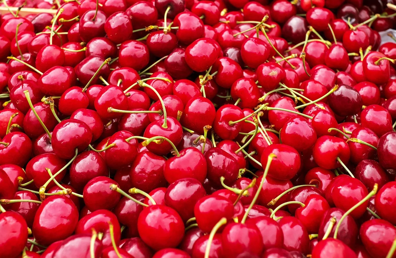 cherries-1465801_1280.jpg