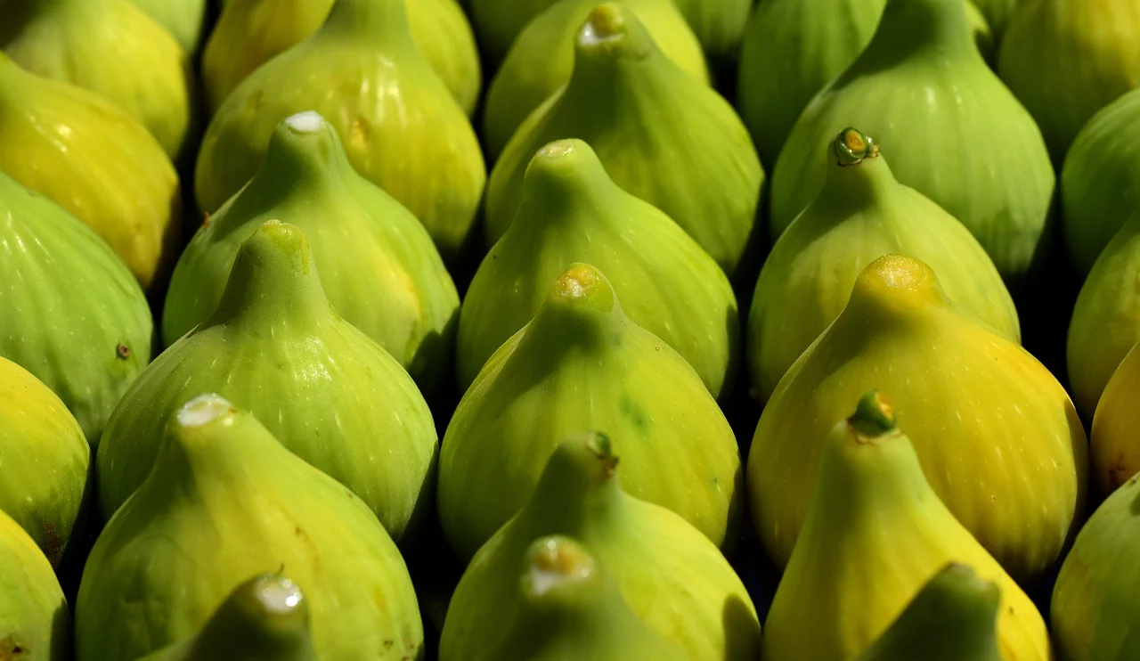 White Figs
