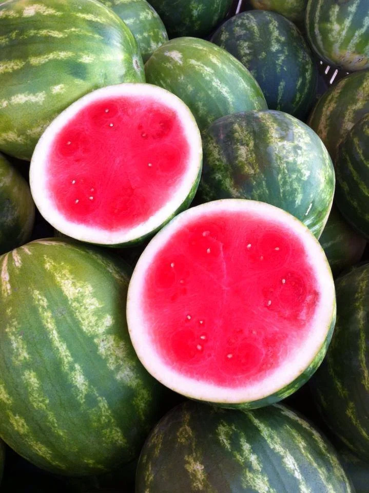 Red Watermelon