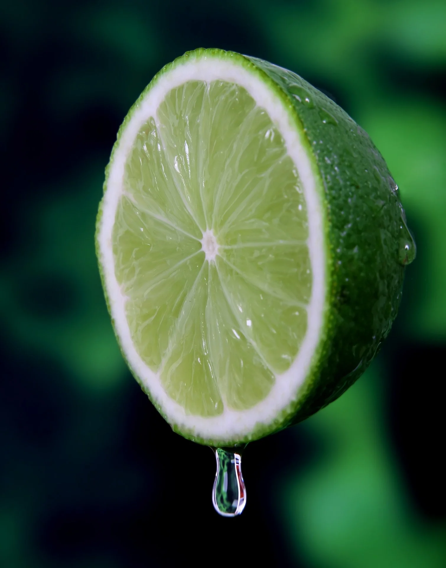 Limes