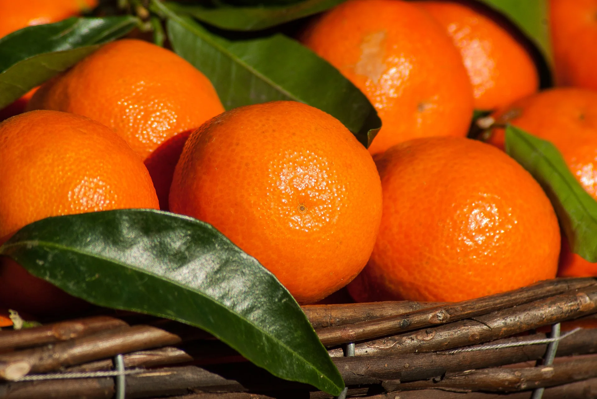 Mandarins & Tangerines