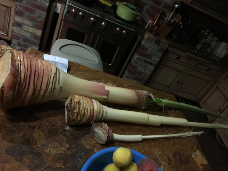 Heart of Palm