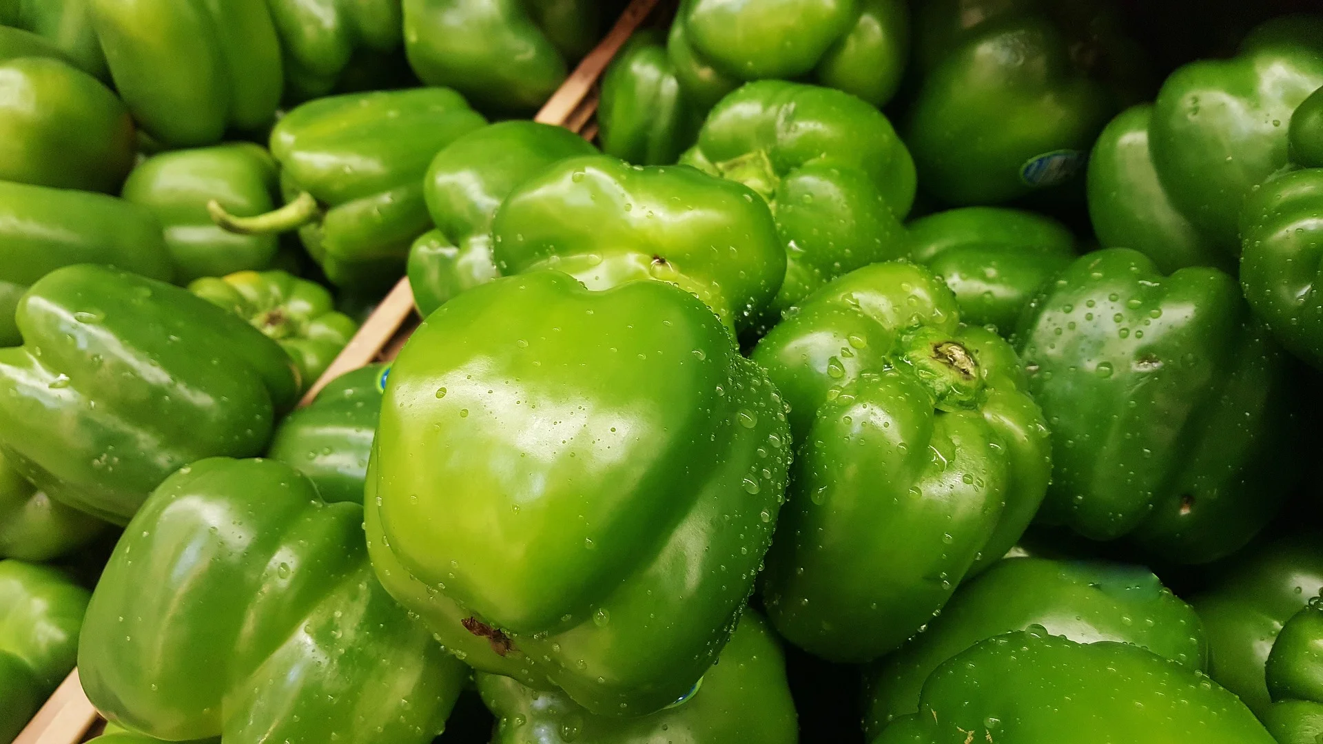 Bellpepper