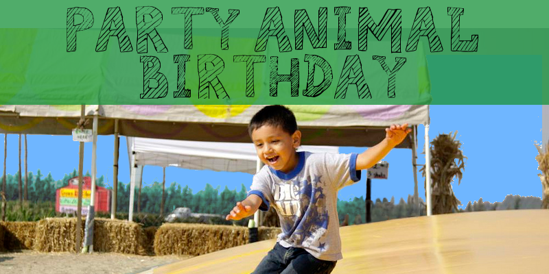 Birthday Party Animal.png