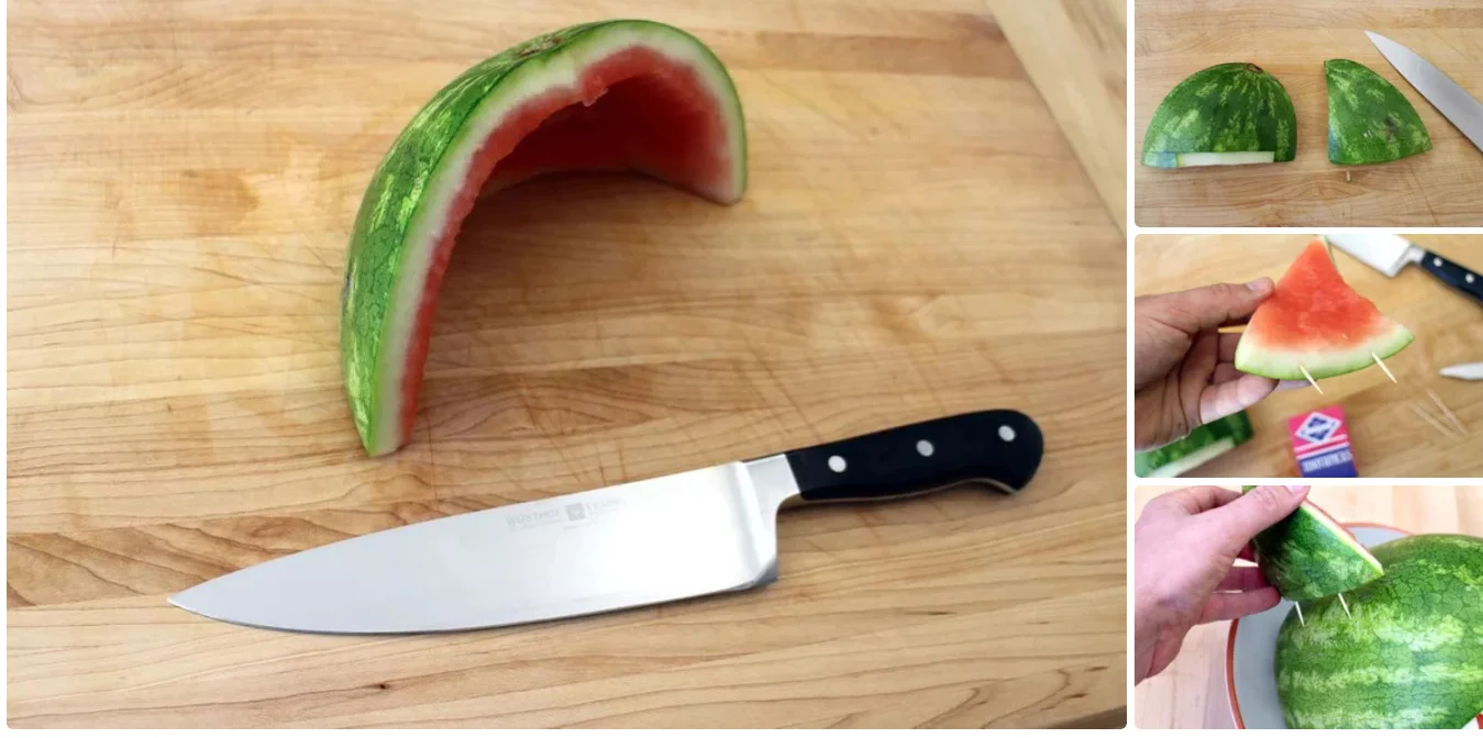 Watermelon Shark Demo.jpg