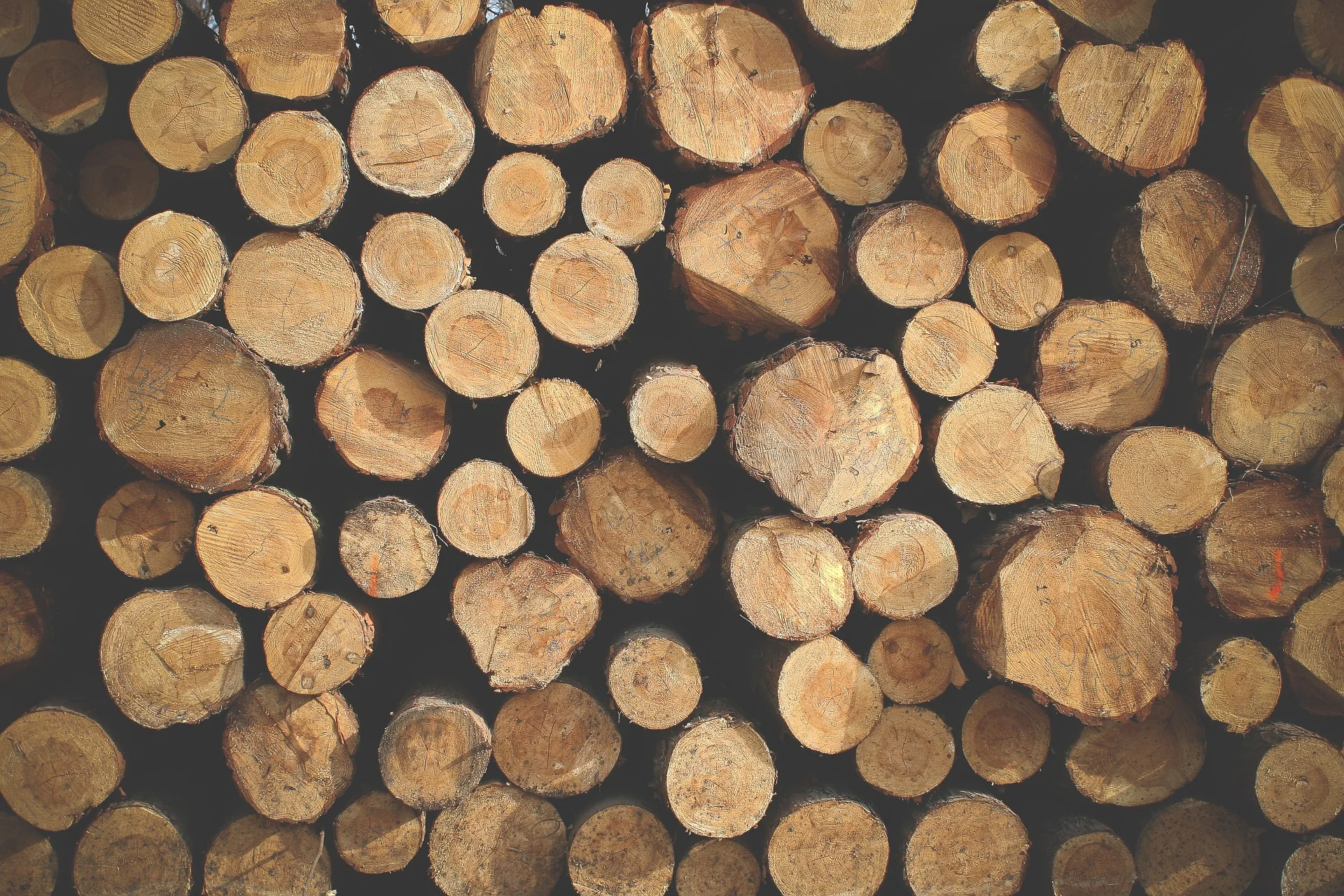 Cherry Wood
