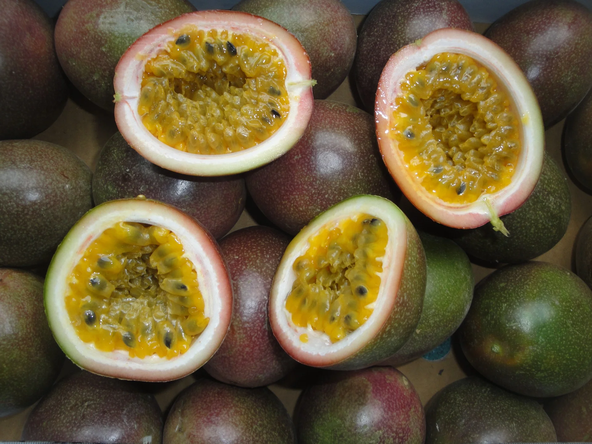 Passionfruit