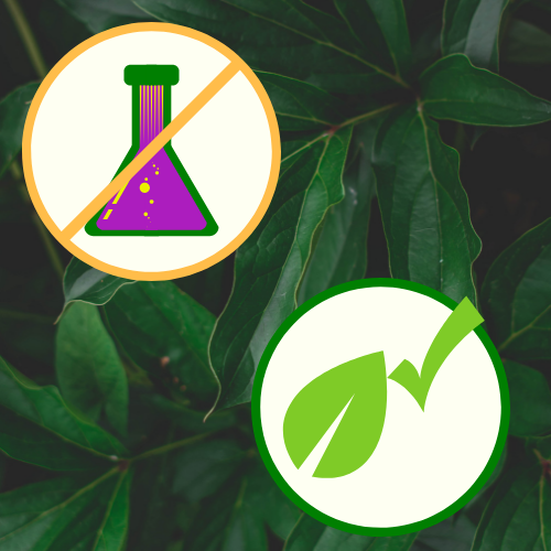 No GMOs.png
