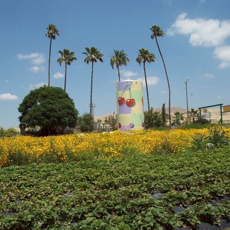The Big Red Barn — Murray Family Farms