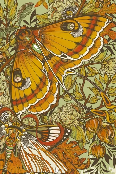 DMB-Moths-Erica-Williams.jpg