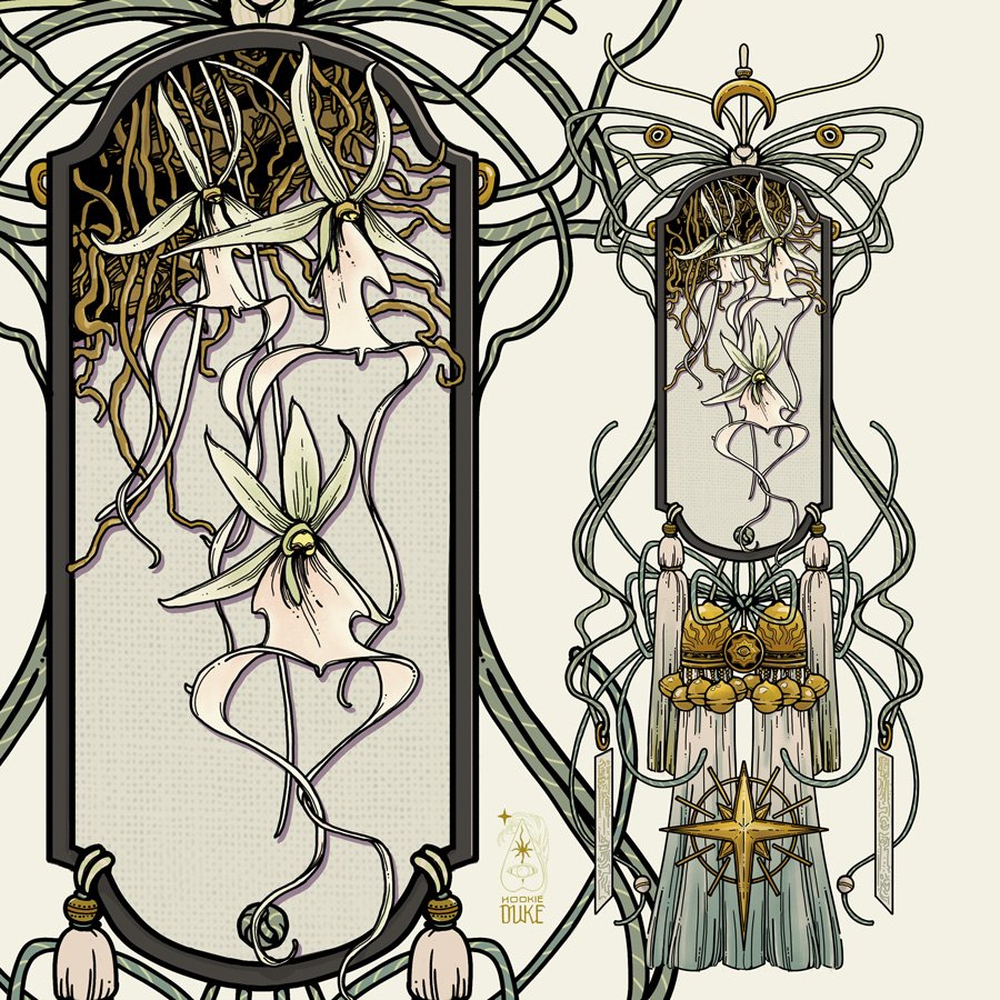 talisman-orchid.jpg