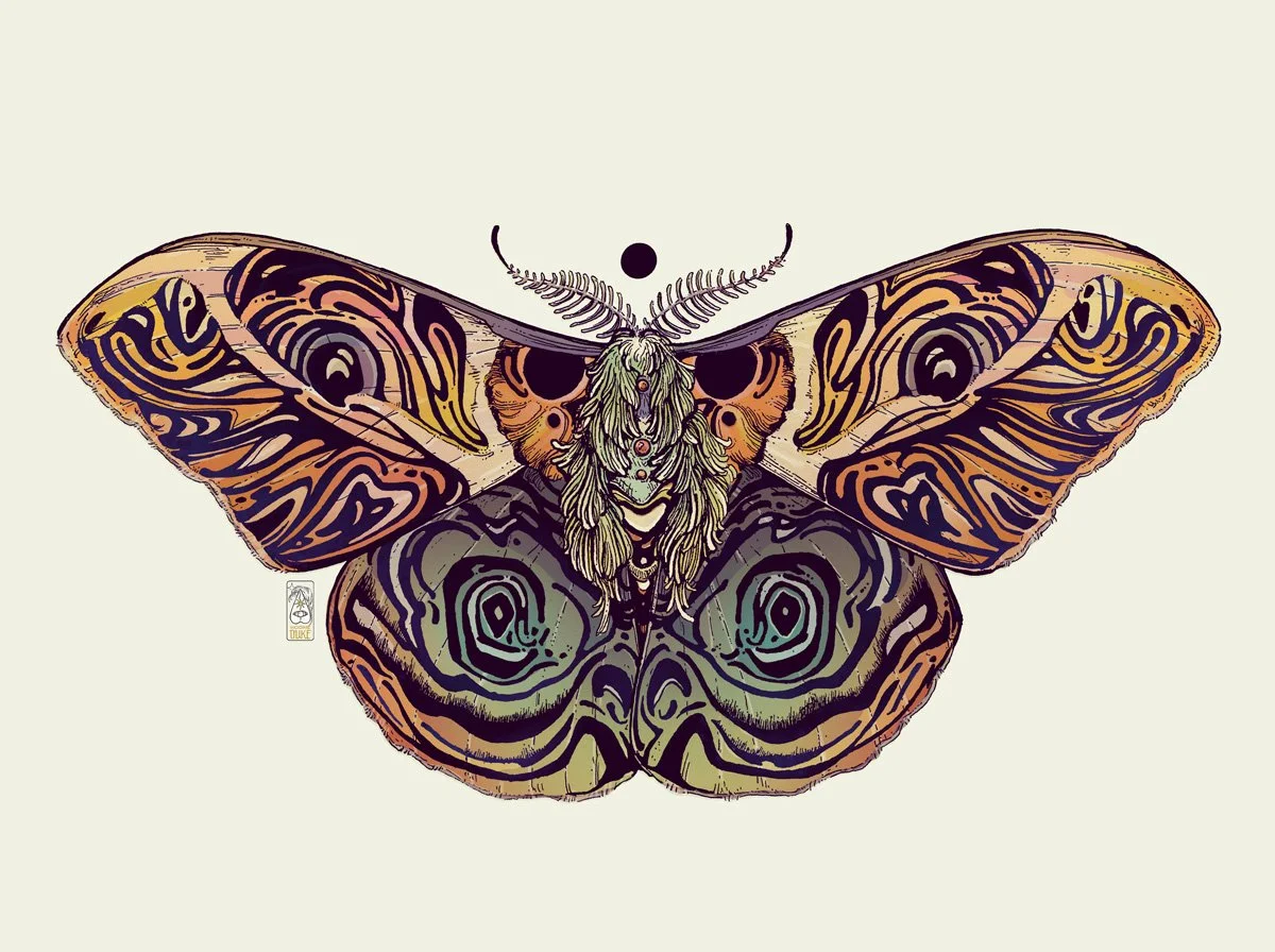 Psyche-moth-i.jpg