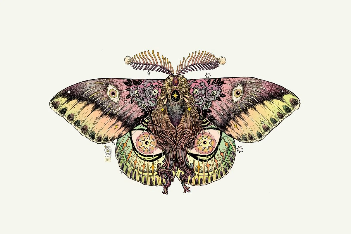 Glamour-Moth-2023.jpg
