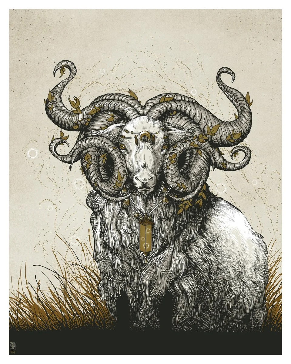 Shepherd-2023-HookieDuke.jpg