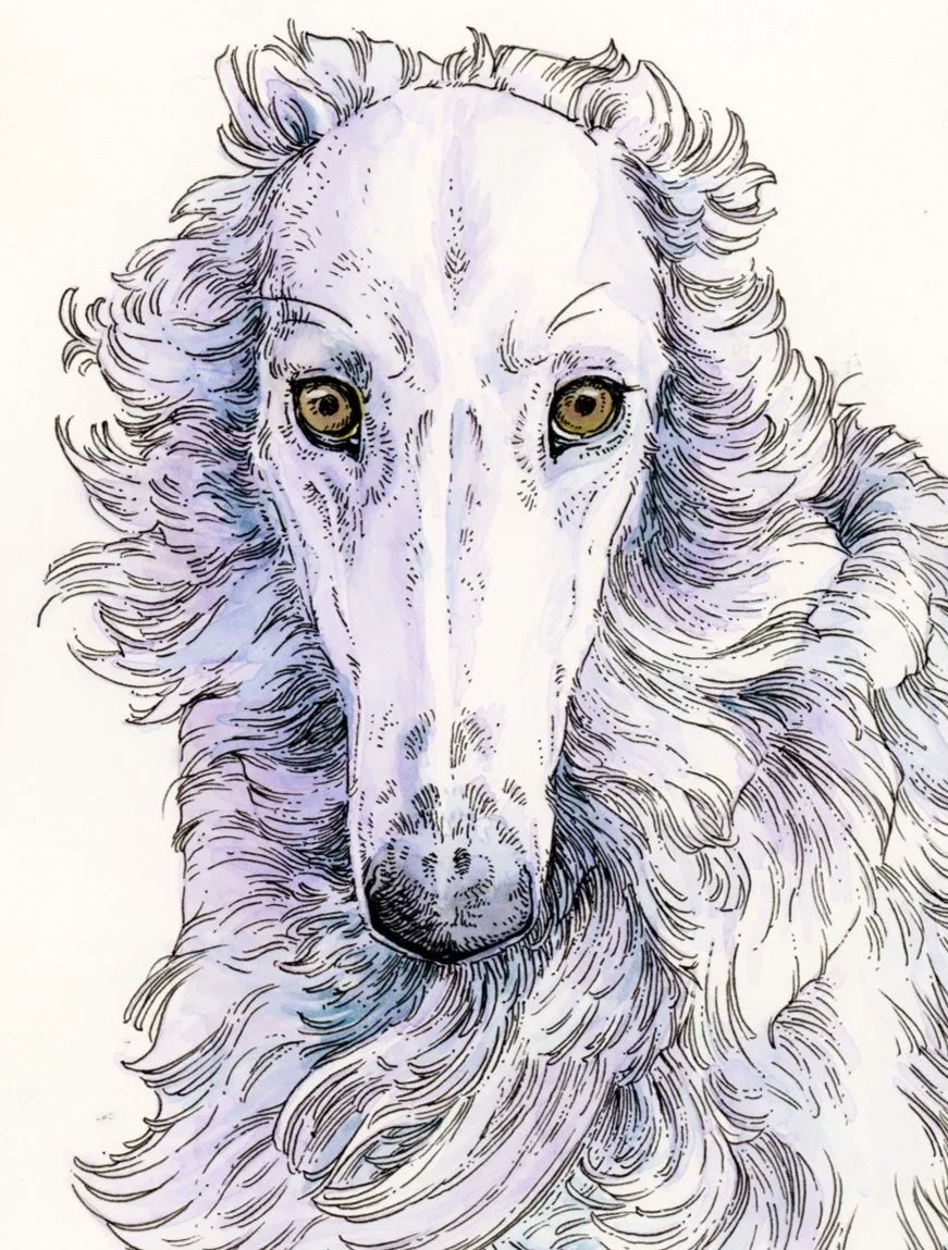 Kuretake-Study-III-Borzoi.jpg