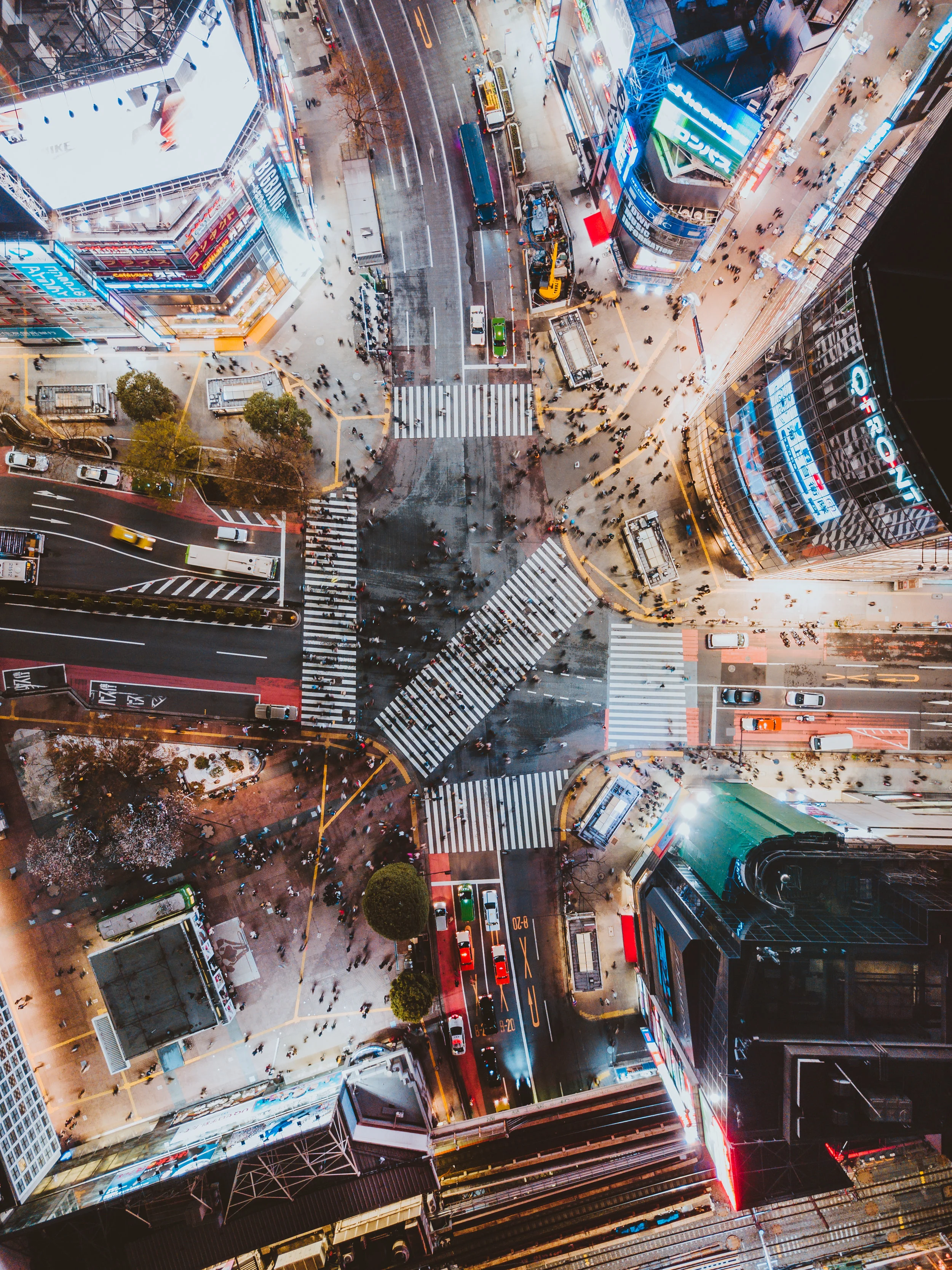 DJI_0246.jpg