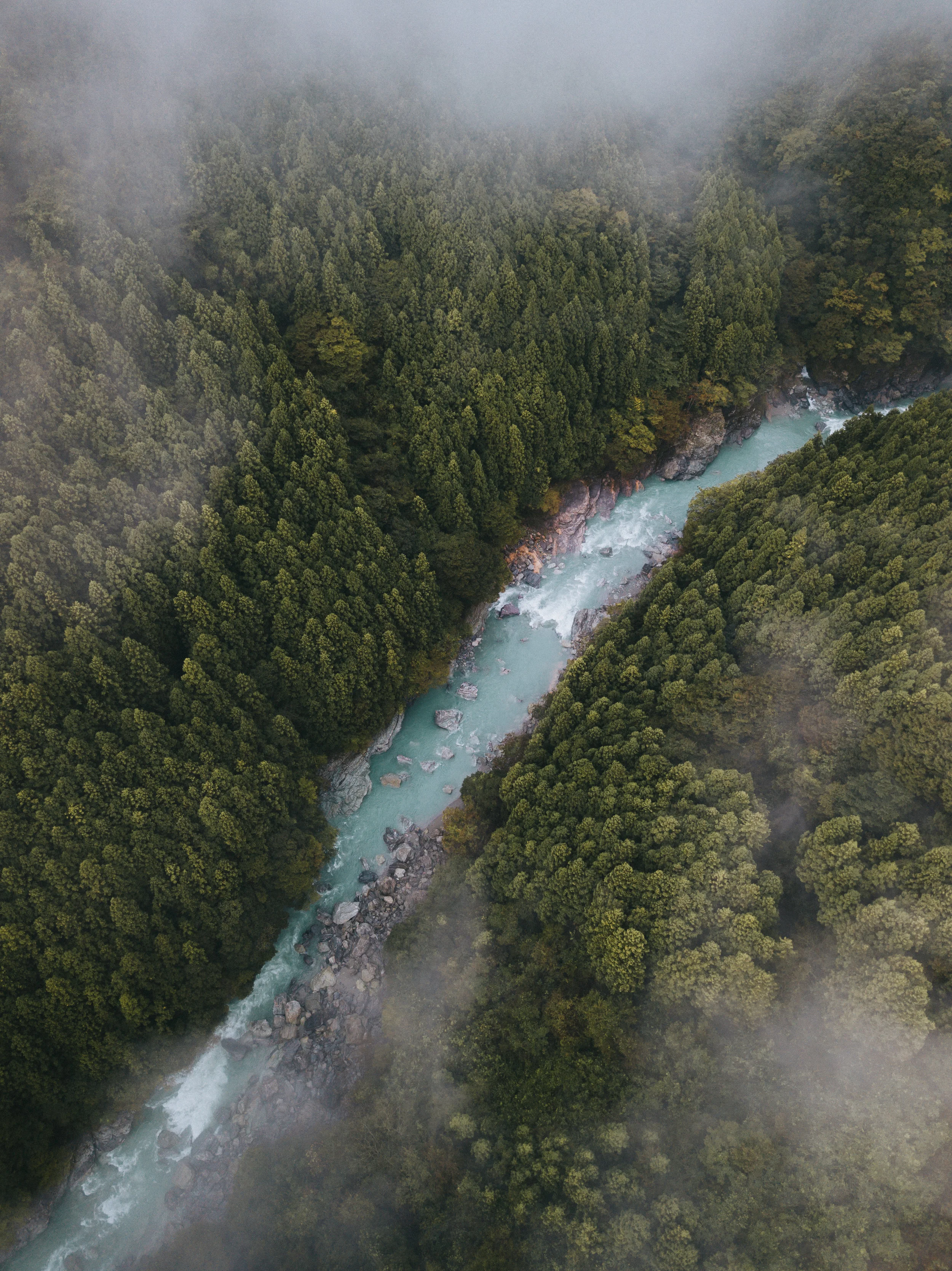 DJI_0062-4.jpg