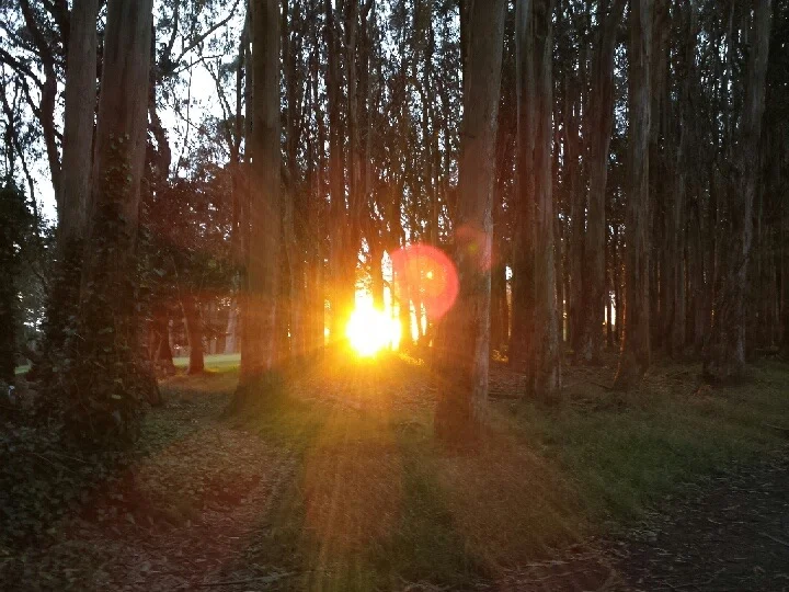 Presidio hike sunset